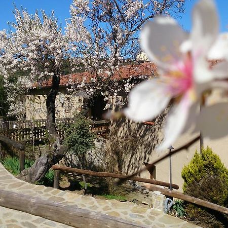 Hostal Valdolázaro Los Navalucillos Exterior foto